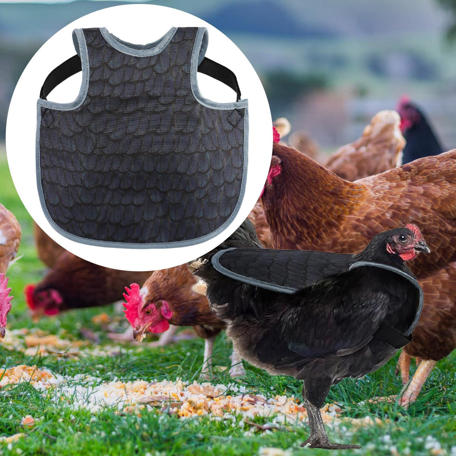 

Куриное седло спинка протектор курица фартук защитный чехол для фермерских петухов зима Deep Blue