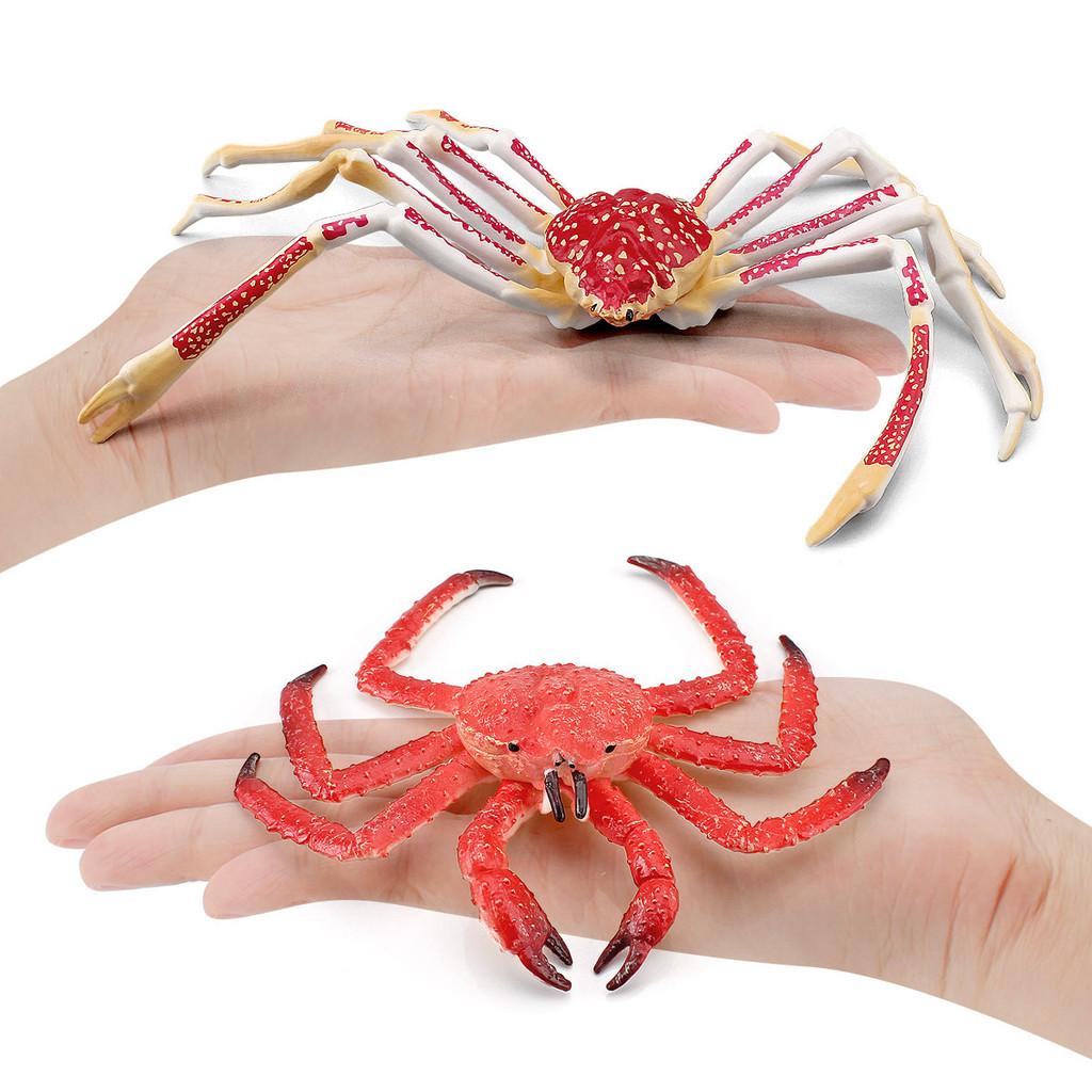 Realistic Children's Ocean Animal Crab Model Featuring Majestic King Crab And Spider Crab