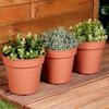 3x Brown Plastic Garden Pot for Plants, Flowers, Herbs 17x15.5 cm
