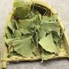 Organic Ginkgo Biloba Leaves Tea Chinese Loose Leaf Ginkgo Tea Herbal Green Tea
