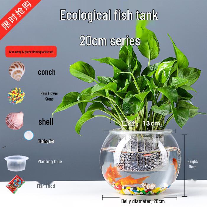 Transparent Round Glass Fish Tank for Office or Living Room - Small Desktop Aquarium for Goldfish or Turtles
