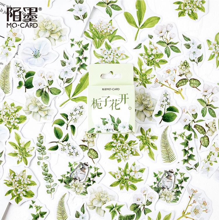 46 Stück/Box Grüne Waldserie Aufkleber Ästhetische Aufkleber Tagebuch Planer Dekorative Handy-Aufkleber Scrapbooking Bastelaufkleber