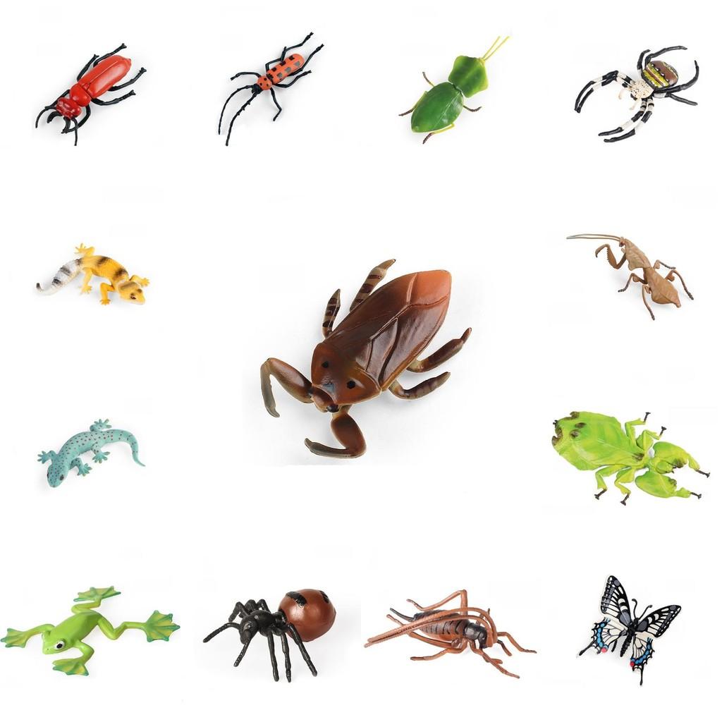 Insect Model Water Bug Toy With Plastic Material For Childrens Educational Play