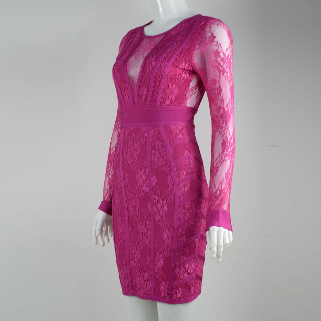 Elegant Rose Red Mesh Lace Bodycon Dress