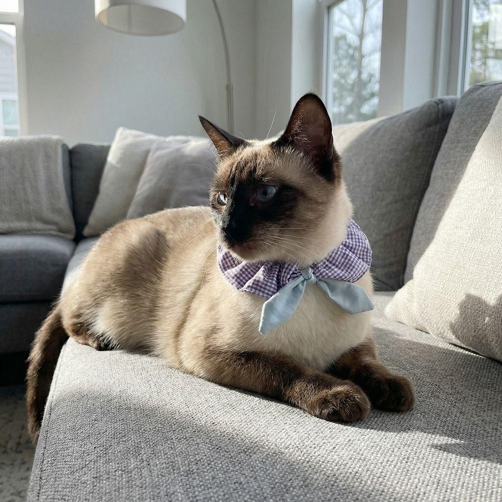 Bequemes Hundehalsband Karomuster Katzenhalsband Haustierzubehör Haustierkatzenschal Für Fotos