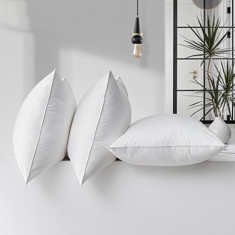 OEING Premium Machine Washable Pillow 48*74cm