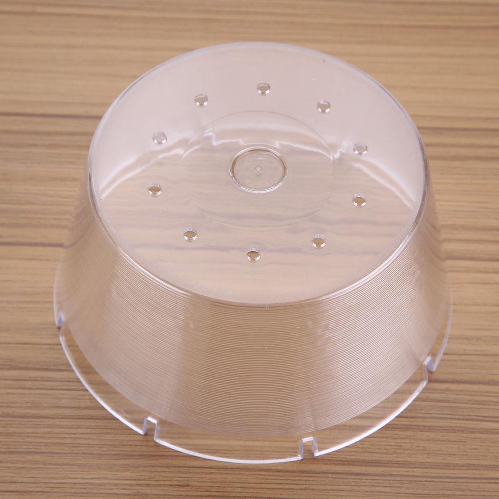 Plastic Bee Water Feeder, Small Hole Design, Lightweight Beekeeping Tool