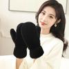 Winter New Thickened Plush Warm Gloves Fashionable Simple Solid Color Thermal Cold Weather Handwear