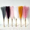 Top Quality Pampas Grass Imitation Reeds for Home Window Decor Wedding Supplies New Arrival Window Decorative Reeds