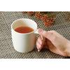 Skater Easy to Hold Cup 290ml with Handle Wood Grain Green Plastic Handle Made of Biomass Raw Materials Microwave and Dishwasher Safe NMGS1HB-A