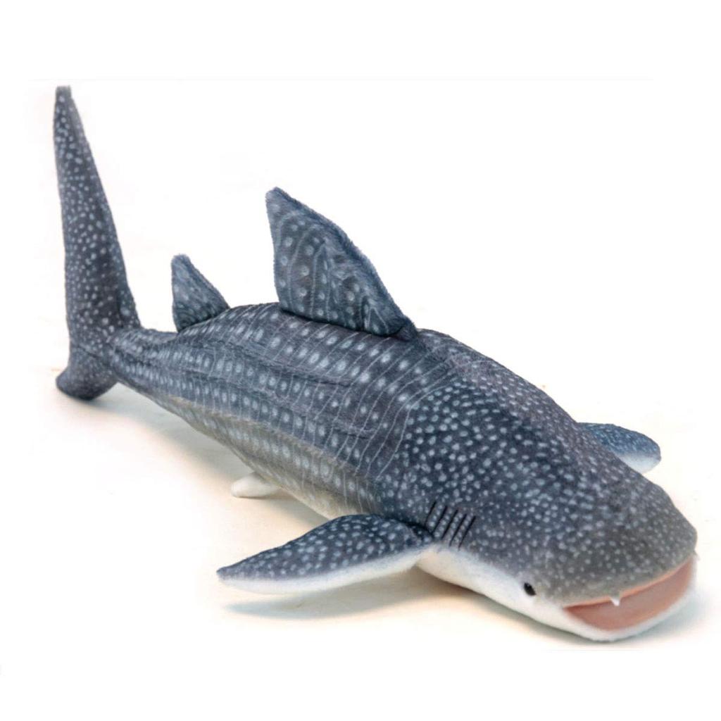 BH6508 HANSA Whale Shark 56