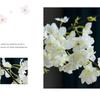 4 Forks Artificial Flowers Cherry Blossom Artificial Flower Decoration New Decorative Flowers  Home