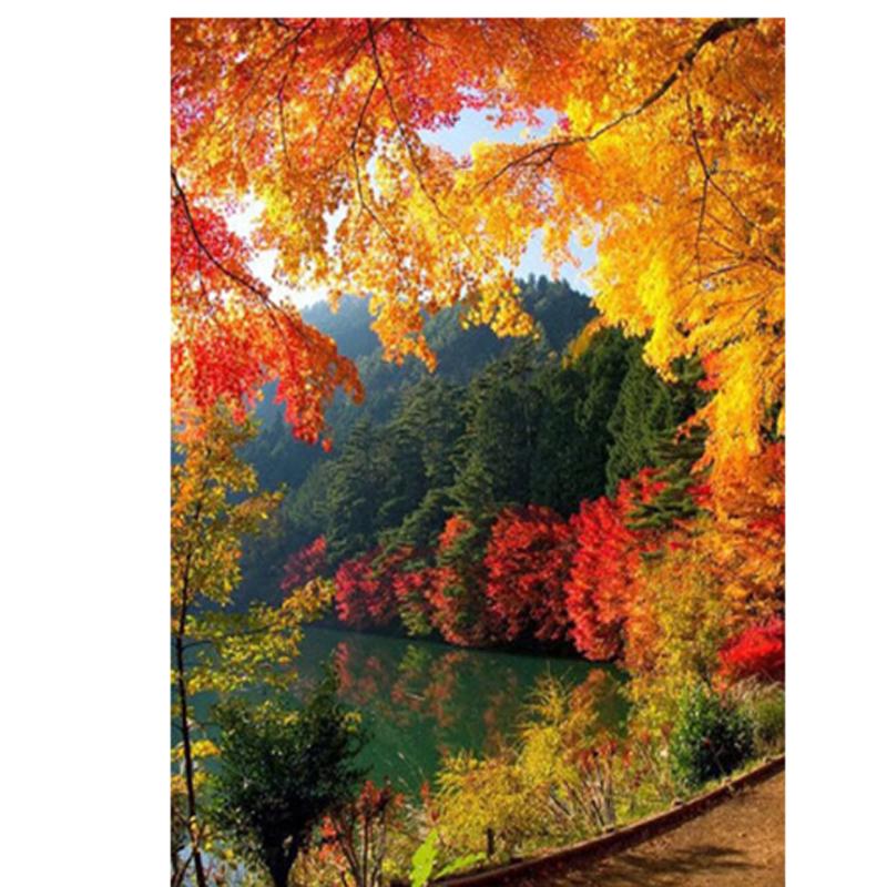 

20x25CM Полная дрель 5D DIY Diy Алмазная картина Набор Мозаика Домашняя декоративная 20x25CM