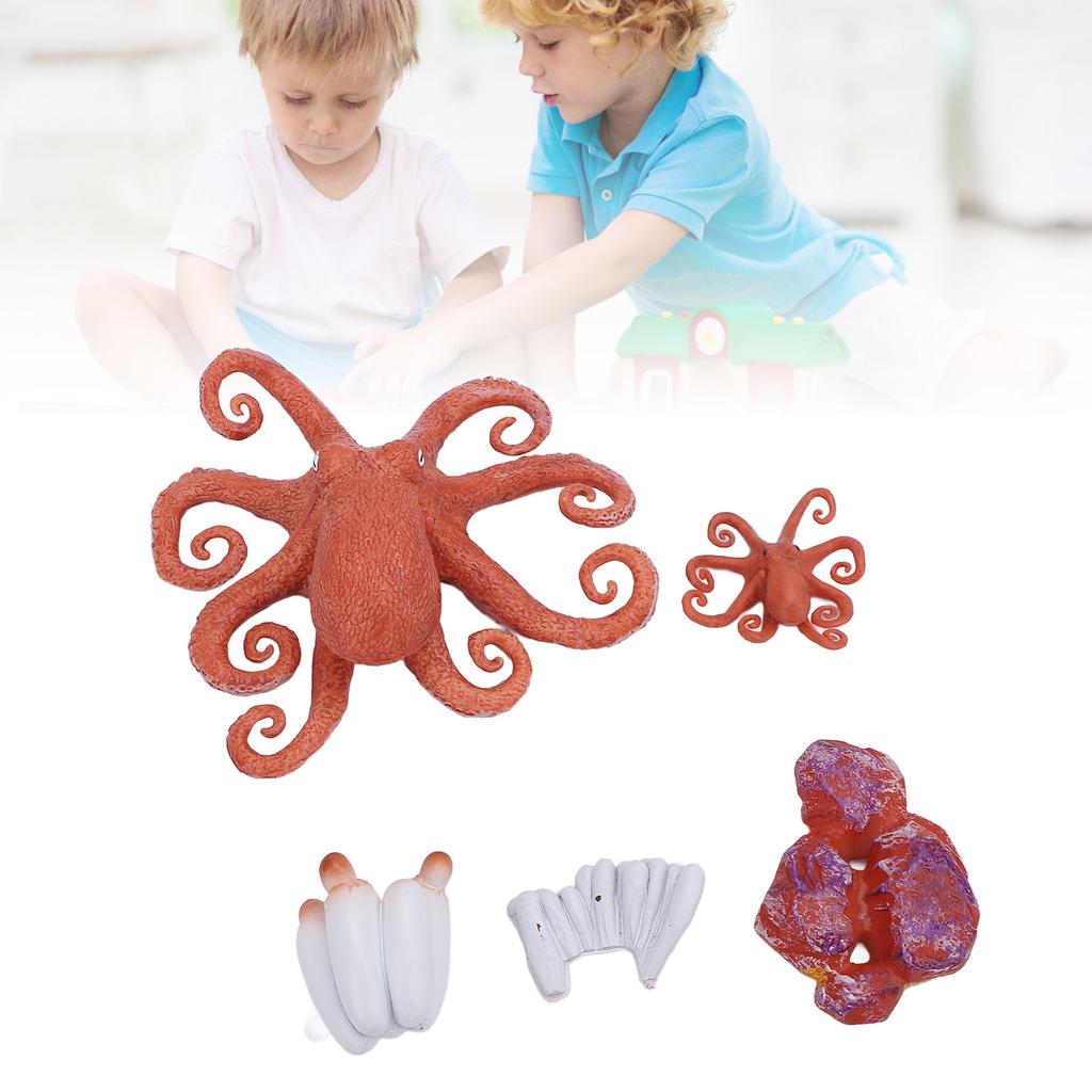 5Pcs Octopus Figurine Toy Educational Simulated Octopus Life Cycle Learning Toy Sea Animals Figurine