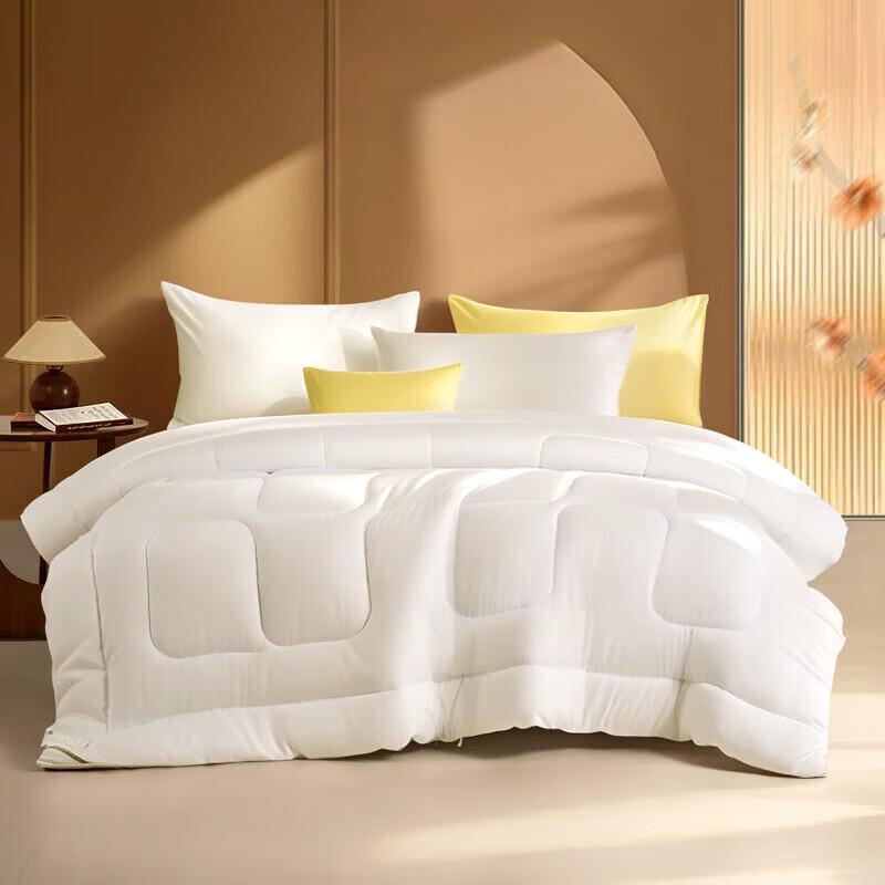 FUANNA Brushed Winter Duvet