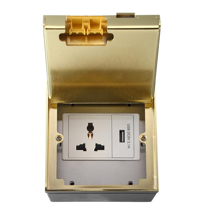 Gold Concealed Euro Floor Socket with USB Charging, Stainless Steel Flush Design