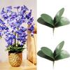Flowers Wedding Home Party Decor Plastic Butterfly Orchid Leaf Green Leaves Artificial Silk Leaf