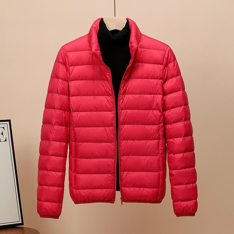 2025 New 90% White Duck Down Stand-up Collar Hooded Down Jacket Women's Short Slim-fit Large-size Winter Coat