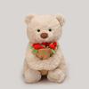 Bear Teddy Cute Filled Pp Cotton Rose Hat Plush Toy Gift For Girls Women