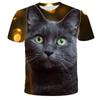 Animal Cat 3D Digital Printed Short Sleeved Casual Loose T-shirt for Men Women Shirt