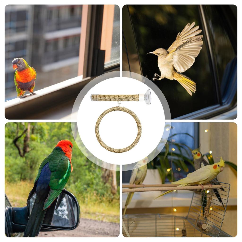 Bird Rope Perch Portable Suction Cup Stand Parrot Standing Toy For Climbing For Window Tiles Glass Cage Travel Parakeet Cockatoo