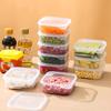 5/10pcs Small Food Preservation Boxes Refrigerator Frozen Meat Vegetable Fresh-Keeping Box Transparent KitchenSealed Storage Box
