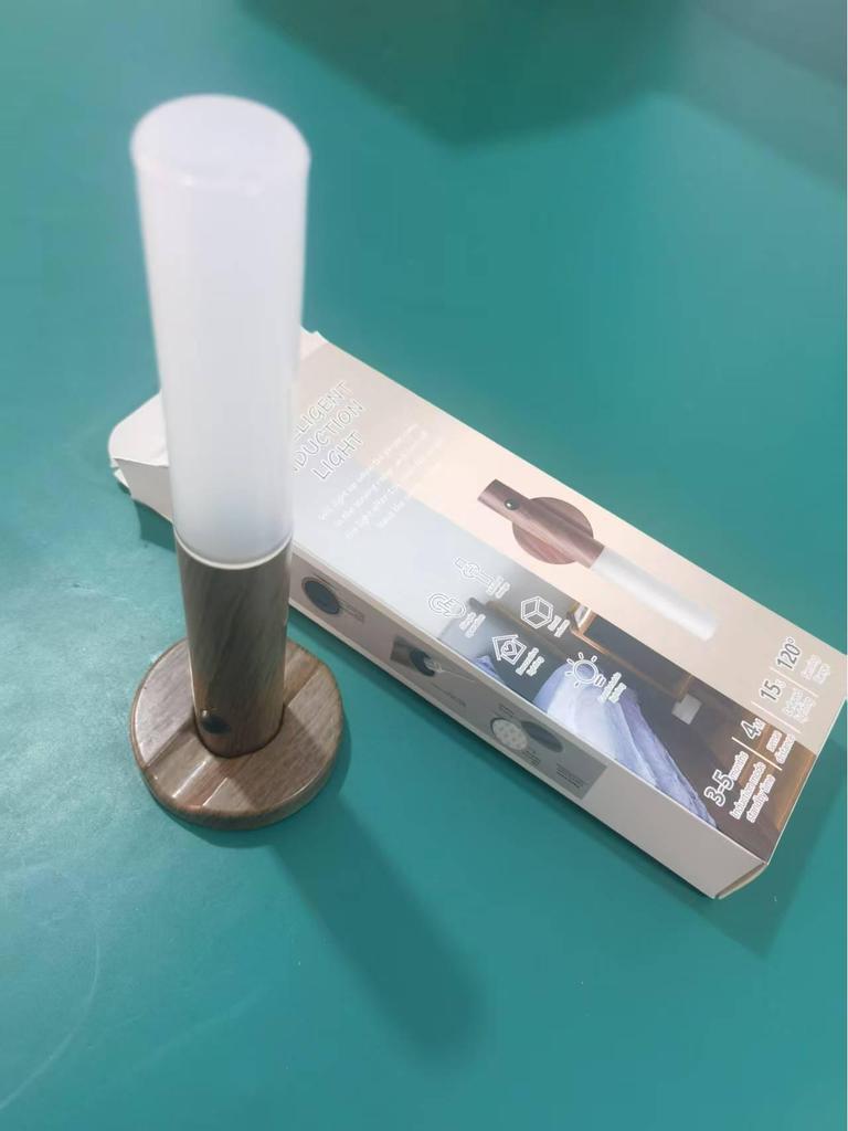 Rechargeable Dual-Use Motion Sensor Magnetic Wall & Night Lamp