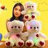Embroidery Heart Glowing Teddy Bear Plush Toy Animal Stuffed Doll Decoration