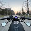 LEDISHUN Mirror Undermount Stay (mirror Not Included); Suitable for All Years of Honda Revl 250 Revl 500 CL250 (MC57)/CL500 (PC68)