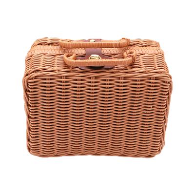 Custodia Portaoggetti Intrecciata in Rattan Sintetico Fatta a Mano Vintage Trucco Viaggio Picnic Negozio Cesto Bagagli