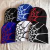 Hip Hop Inspired Knit Cap With Spider Web Embroidery Design For Casual Wear
