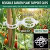 Plant Support Clips Plastic Vine Ties for Home Tomato Cucumber Gardening Use