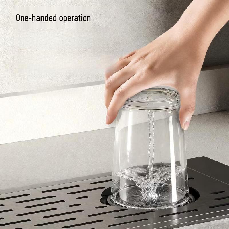 TLXT Kitchen Sink Glass Rinser