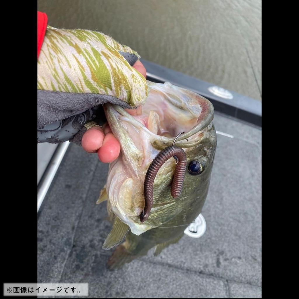 Daiwa 24STEEZ Neko Straight 3.75 Earthworm Lure