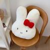 Cute Plush Rabbit Charging Hot Water Bottle