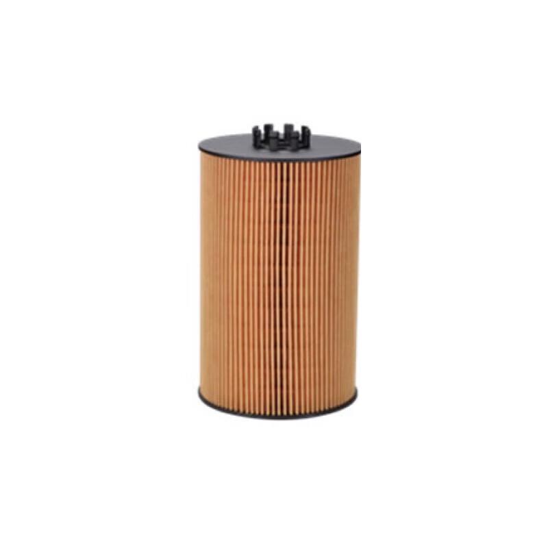 HOWO TAZ3185Z40A Dump Truck Engine Oil Filter