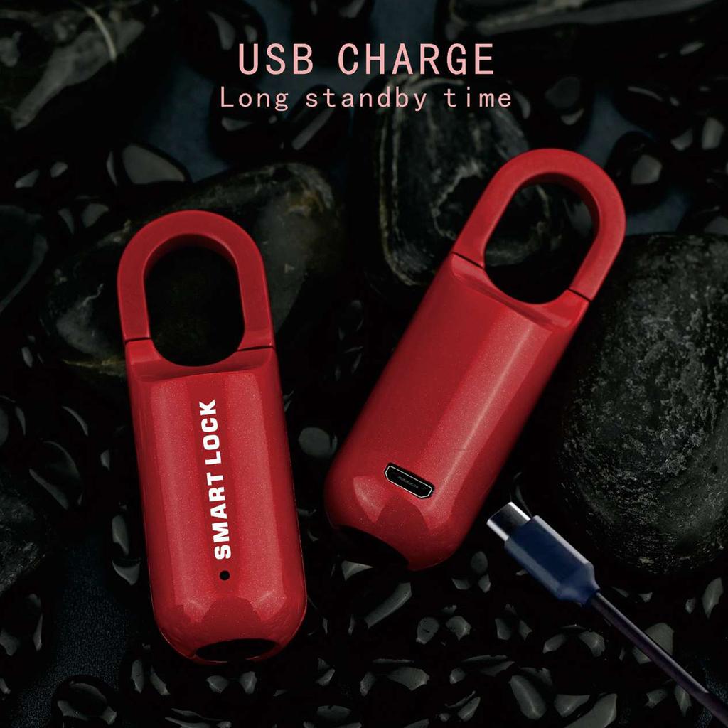 Mini Otisk Prstu Chytrý Viseací Zámek Dotykový Otisk Prstu Zámky Dveří USB Bezklíčové Zámky Proti Krádeži pro Cestovní Kufry Zásuvku Skříňku
