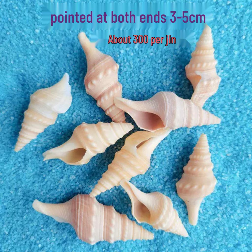 Conch Shells & Starfish for Hermit Crabs: Aquarium Decor & Drift Bottle Accessories