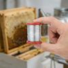 Edelstahl Bienenstockrahmen Draht Langlebiger Edelstahlrahmen Draht Bienenhaltung