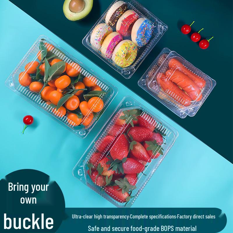 Sushi, Roast Duck, Pastry & Fruit Takeaway Box Set with Free Shipping & 100 Rubber Bands