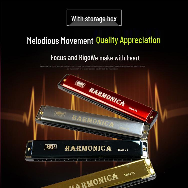 Big Beauty Angel 24-Hole Diatonic Harmonica & 37-Key Melodica for Adults & Beginners