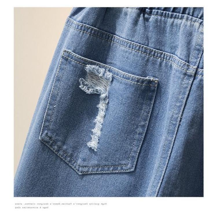 Spring and Autumn Loose Elastic Waist Jeans Women's Embroidered High Waist College Style Harun Straight Pants