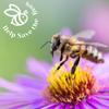 Help Save the Bees Seeds Set / 20 Set Nectar-rich Plants / Bee-friendly Set / Flowers / Pollen / 100g