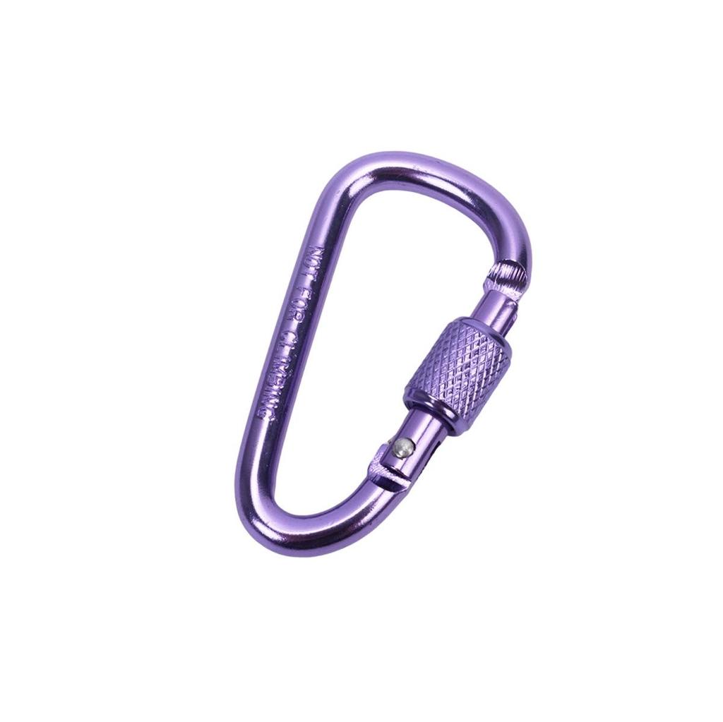 D-Shaped Locking Aluminum Carabiner No. 6 with Keyring for Backpack and Rope