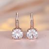 1 Pair Rose Golden Color Round Cut White Blue Red Green Stone Drop Earrings Fashion Women Wedding Jewelry Luxury Accessories