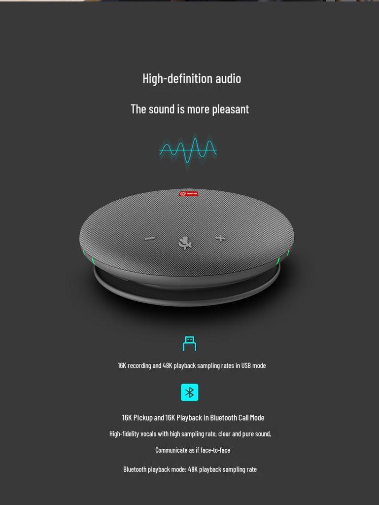 Yinluo I-31 Multi-Functional Bluetooth Speaker: Outdoor Video Conferencing Mic & High-Volume Subwoofer