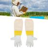 Pair of Beekeeping Protective Gloves with Long Mesh Sleeve Unisex for Beginner BeekeeperXXXL