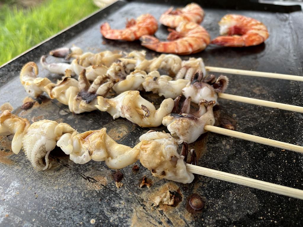 Coleman Powerhouse LP Two-Burner Stove 2 Compatible Grill Plate (256/260) (3.2mm Thick)