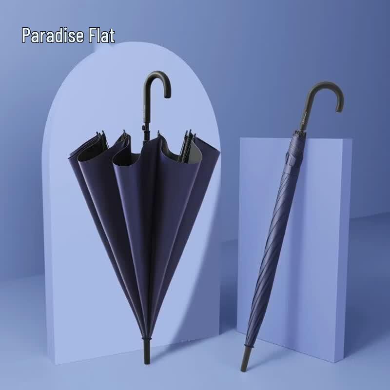 TianTang 13081E Automatic Long Handle Umbrella