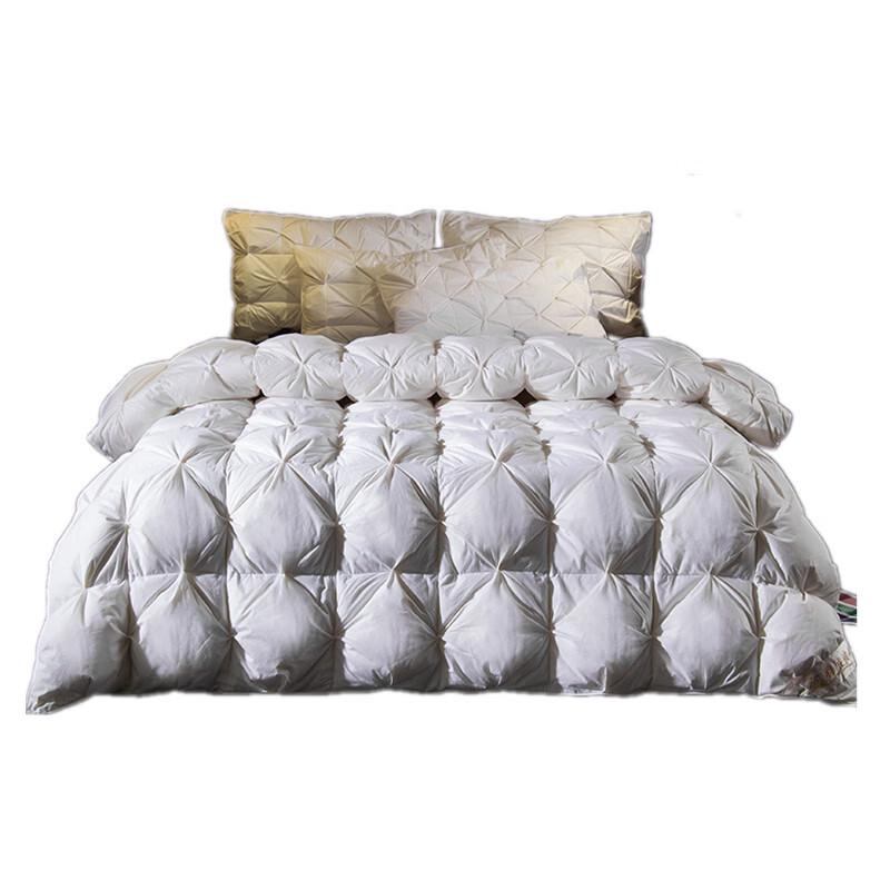 

Ring Feather Velvet Winter Duvet Insert